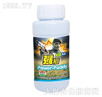 ����-�μ�