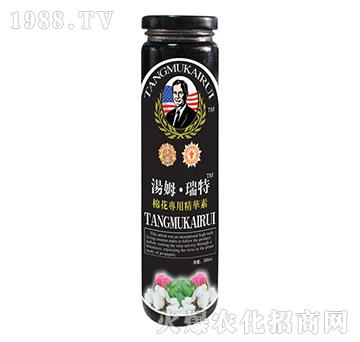 �޻����þ��A��-��ķ������-�μ�