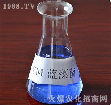 EM�{(l��n)���-�VԪ����