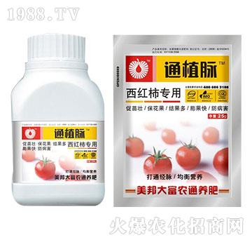 西紅柿專用肥-通植脈-美邦科技