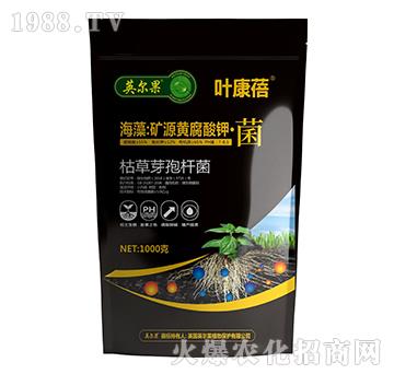 ���壺�VԴ�S����⛡���-�~����-Ӣ����