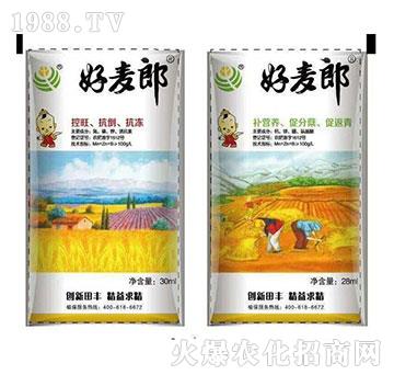 С�������~���-������-���S����