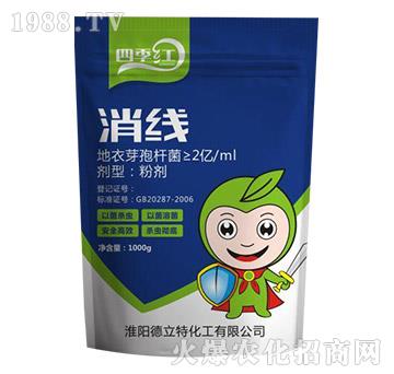 ����-�ļ��t-������