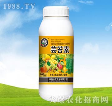 含氨基酸水溶肥料-蕓苔素-豐農(nóng)農(nóng)化