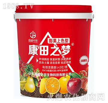 膨果上色型-康田之夢-嘉盛中農(nóng)