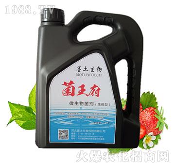 ������΢����������أ�-ī��