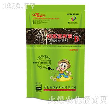 蔬菜專用微生物菌劑-根基營養(yǎng)素B-益佰農(nóng)