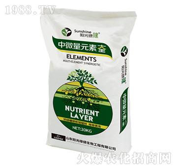 ��Ԫ�ع��ܷ�-��΢��Ԫ�ش�ȫ-ꖹ�G��