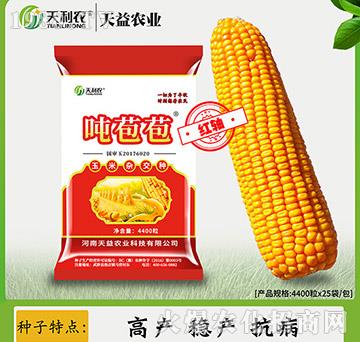 玉米雜交種-噸苞苞-天利農