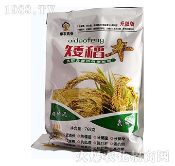 水稻分蘗抗倒撒施肥（768克）-矮稻豐-綠農鴻業(yè)