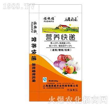 �I�B(y��ng)���f-��ʩ��-ʩ���_