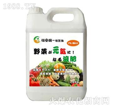 �r�ý���-����ø-����