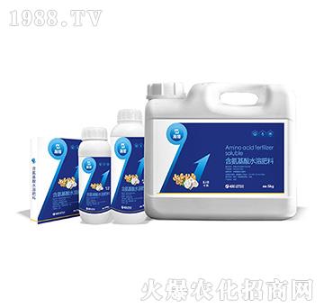 姜蒜專用含氨基酸水溶肥料-九稼一