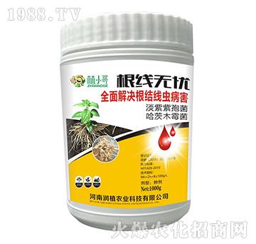 �����o(w��)�n-��(r��n)ֲ