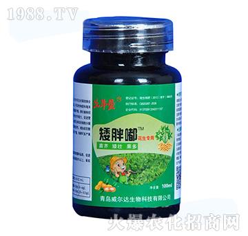 ΢����ʣ��������ã�-�����-�����_(d��)