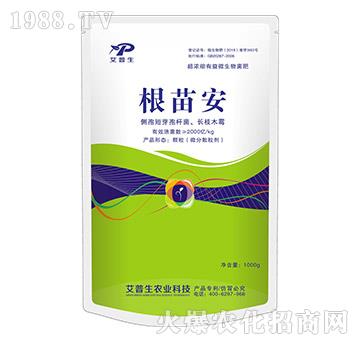 ���簲-������