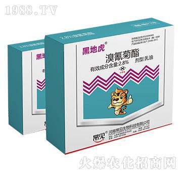 2.8%溴氰菊酯-黑地虎-常見(jiàn)生物