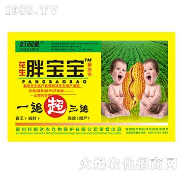 �����֌���-������-��ֲ�_(d��)