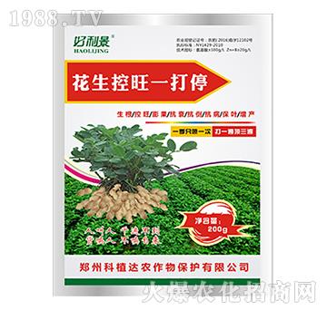 ��������һ��ͣ-������-��ֲ�_