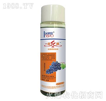 �ĺ����ь���-һƷ�t��-�h˼����