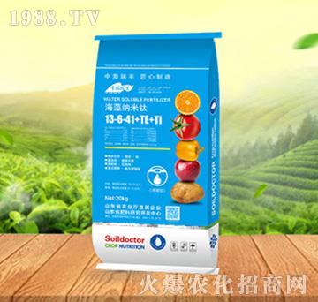 ����{����13-6-41+TE+Ti-���ԁ��(l��)