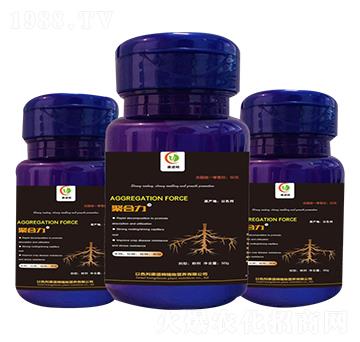 500g�ۺ���-����ķ