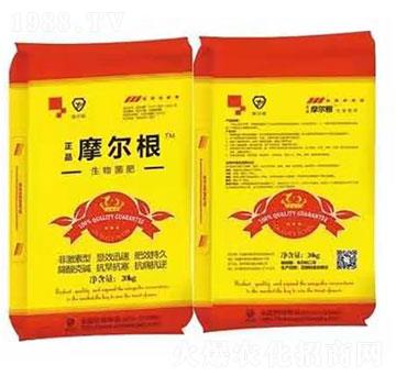 �������-Ħ����