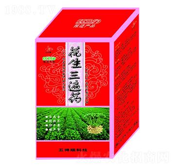 ��������ˎ-����