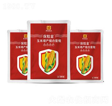 �������a�M���ײ�-������-�n�����r