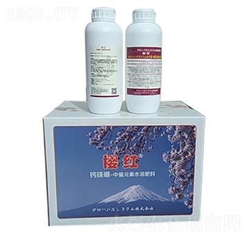 �Ѽt�}�V��-�����A��