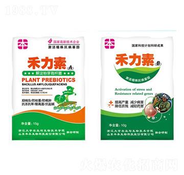 �߲˹���־��x(ch��ng)����-�S������