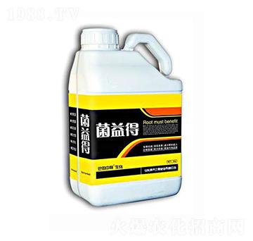 �����΢����������-���ǷʘI(y��)