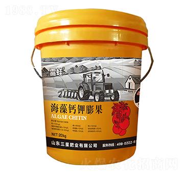 �����}����-���ǷʘI(y��)