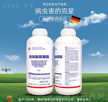 10%��Ч�������-��