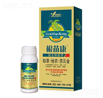 ΢�������-���翵-�ڼژ�(l��)