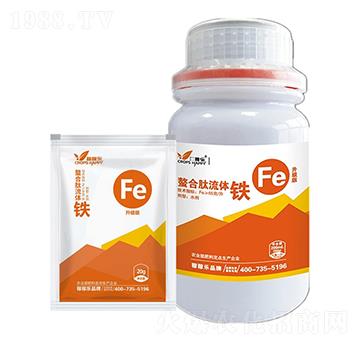 ���������w�F-�ڼژ�