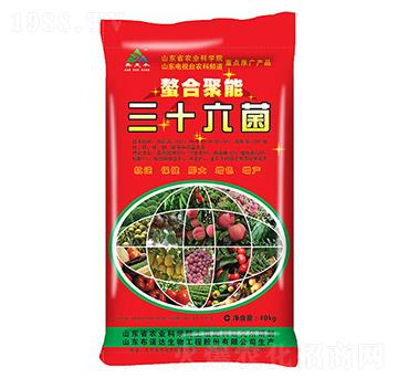 ���Ͼ�����ʮ����-���Z�_