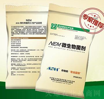 5����NEM΢�������-���v�߿�