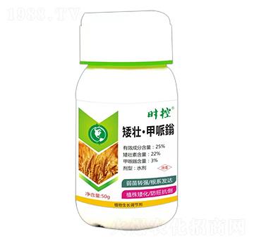 ���ѡ�������-�r(sh��)��-��ɭ��