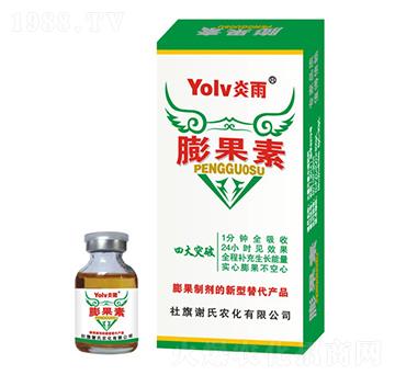 �����-�x���r��