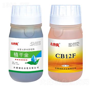 ���~���S�ײ�-���؂b-�x���r(n��ng)��