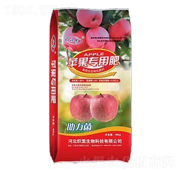 �O�����÷�-�뷱����