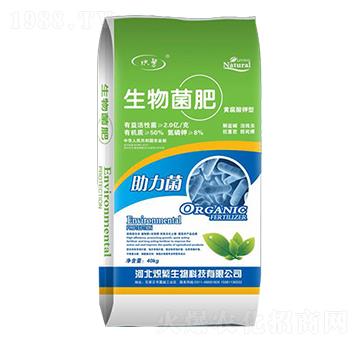 �������-�뷱����