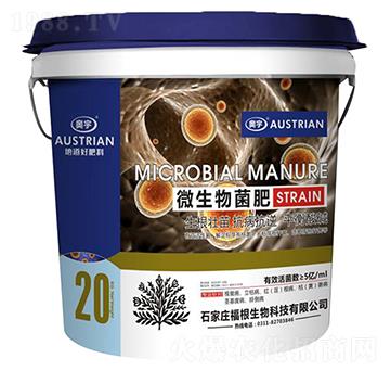 ΢�������-�W��-��������