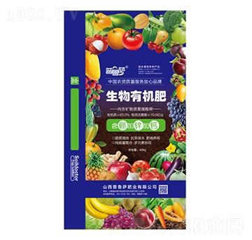 10�|�������ЙC��-�����_