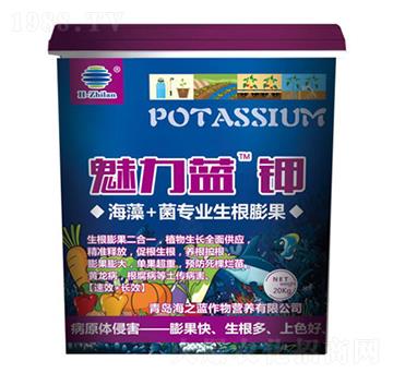 �����{(l��n)�-��֮�{(l��n)