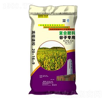 ���ӌ�(zhu��n)�ø�����(f��)�Ϸ�20-16-9-�����