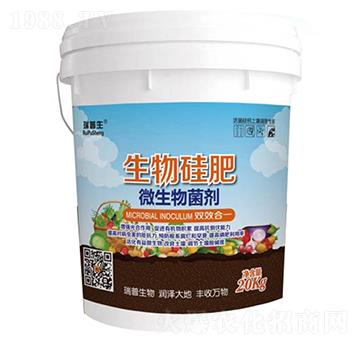 ΢�������-������-��������