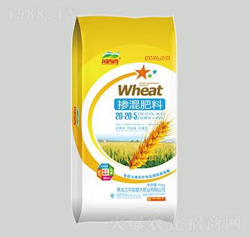 �������������20-20-5-���r(n��ng)�ʘI(y��)