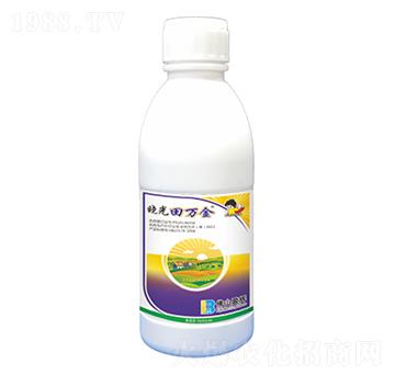 35%�ɡ�ୡ����ǰ�-�Թ����f��-ӯ�x